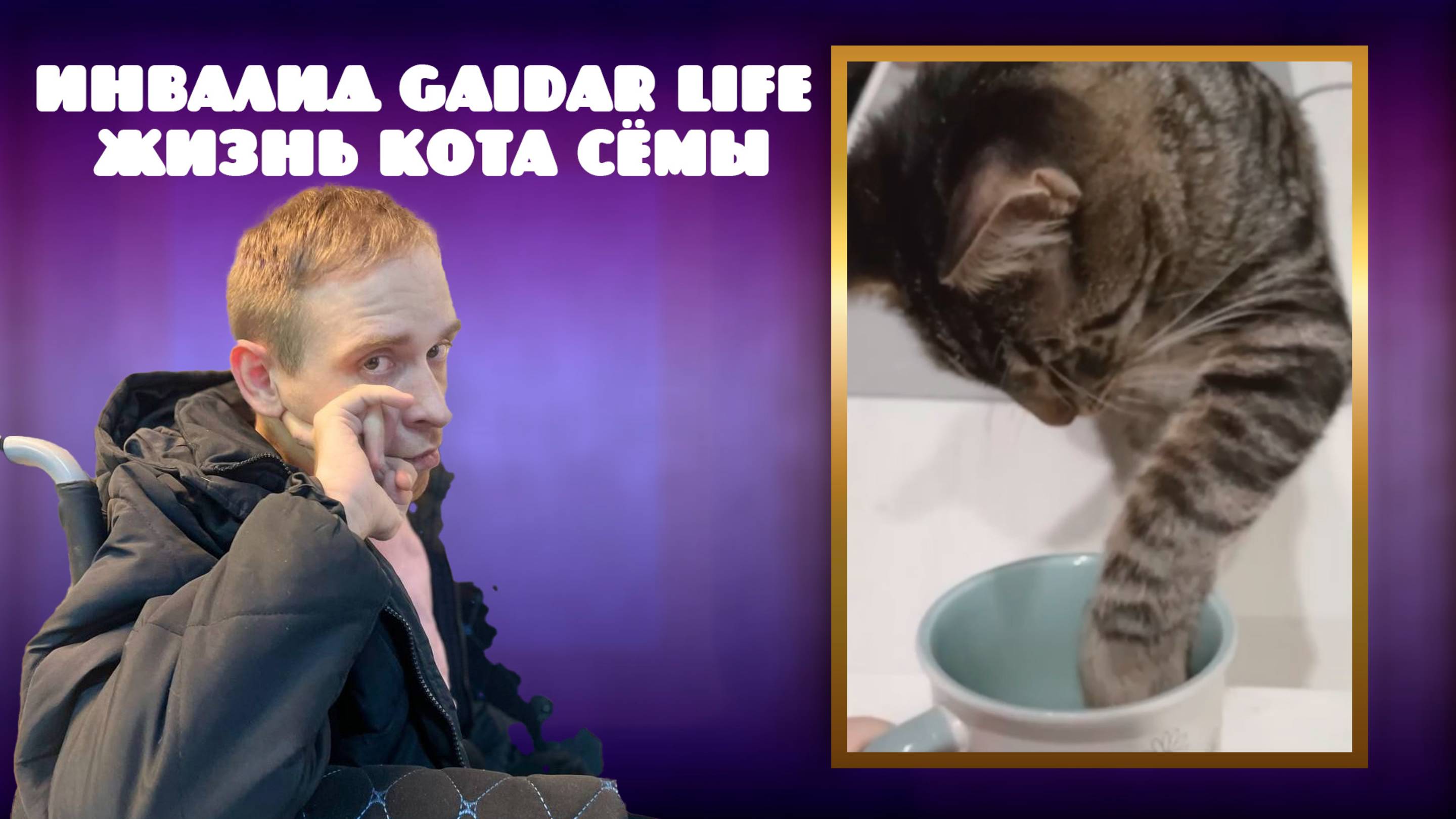 Инвалид Gaidar Life Жизнь кота Сёмы