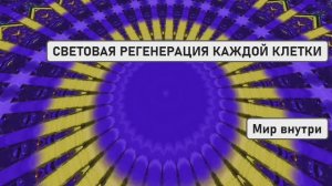 СВЕТОВАЯ РЕГЕНЕРАЦИЯ КАЖДОЙ КЛЕТКИ | Медитация Глубинного Обновления Тела