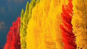 Геннадий Филиппов, V-Love Music - Ноябрь (Ожидание зимы)