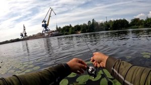 С Веточкой на рыбалку. Спиннинг топового сегмента