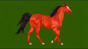 красная лошадь 2026 год