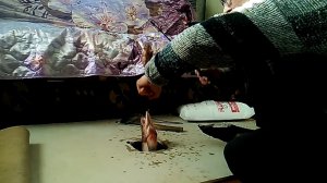 🐟🐟🐟 Рыбалка🐟🐟🐟