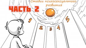 Стадии психосексуального развития. Часть 2