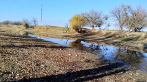 Как умирает река в Астрахани.