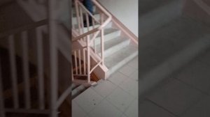 мы с саней в падике 1