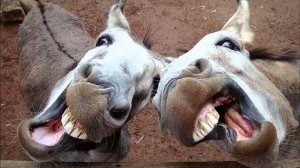 ПРИКОЛЫ НЕДЕЛИ 2025 😹