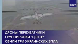 Дроны-перехватчики группировки "Центр" сбили три украинских БПЛА