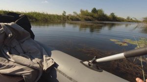 Попросили наловить живцов