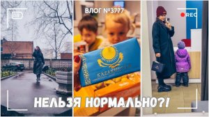 Ну почему всегда так?! Нельзя нормально?  -  ВЛОГ №3777  - 7.11.25