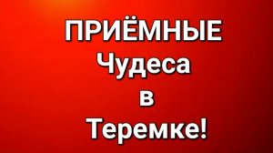 Приёмные/Обзор.