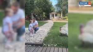 Спас молодого штурмана ценой своей жизни. 
 
Репортаж о командире ударного вертолёта Ка-52, Илье Нос