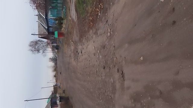 НОВЫЙ РЕБОРН!!!! прогулка с Алисой🌺 смотреть онлайн