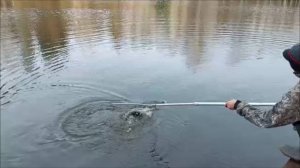 Бомбардисты рулят. Клёвое место, Лосиный остров, нижний водоём.