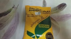 Вершинная гниль и слабый рост Спасение — Кальциевая селитра от Буйских удобрений