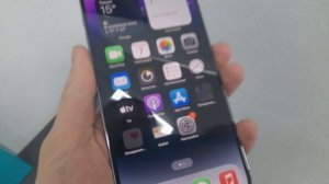 Видео №369918