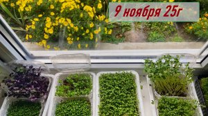 ГОРОСКОП  9 ноября 25г