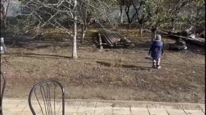 Мама и 13 детей - Осенняя уборка - Посадка чеснока в зиму - Без озвучки