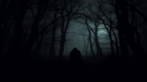 Shadows – Into Decay