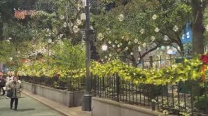 🇺🇸 Рождество в Нью-Йорке 🎄💂🏼 🎁 - Брайант Парк⛸️ и Волшебство праздника Ноябрь 2025