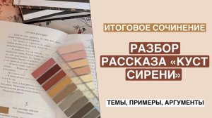АРГУМЕНТЫ для итогового сочинения | рассказ А. И. Куприна «Куст сирени»