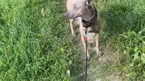 Природа очень нравится !