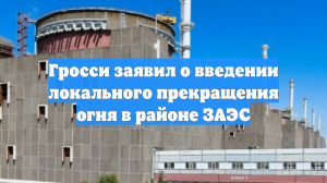 Гросси заявил о введении локального прекращения огня в районе ЗАЭС