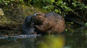 Дикие выходные с Павлом Глазковым. 8 ноября