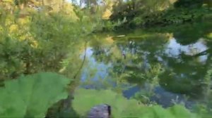 Усадьба Розенталь - продажа уникального места в Крыму