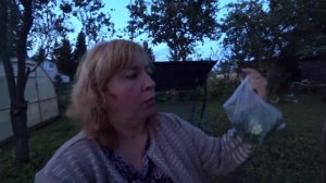 Бешеный урожай чеснока, замораживаем зелень/ Подарок от сестры и родителей, с юбилеем/ Щербет с юга