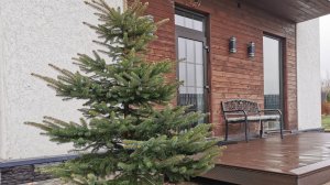 Короткий осенний день и всего один пункт плана выполнен. 07.11.2025 восток Ленинградской области