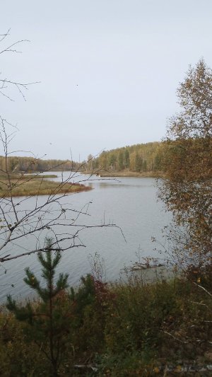 Вспомним лето