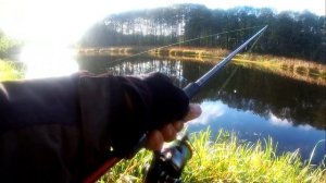 Микс по хищнику. Октябрь Неман.