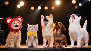 Котики и их друзья