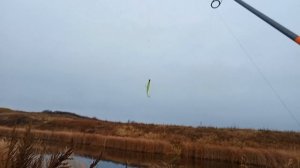 за щукой в начале ноября