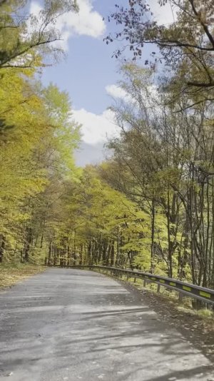 Дуэль-муз. и сл. Пётр Семин. исп. Алексей Макаренко