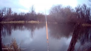 Ловля на Старице на Боковой Кивок 🎣 Наживка мотыль и опарыш. Прикормка Dunaev (Плотва).