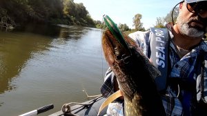 Щука осенью на спиннинг. Сплав по малой реке.