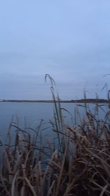 Охота на северную утку на озере с чучелами осенью смотреть онлайн