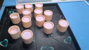 Один из видов грунтовки изделий из гипса.