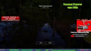 ПРОВЕРКА ФАРМА И ТРОФОВ ПЕРЕД ВЫХОДНЫМИ, МЕДНОЕ МОРЕ  В РУССКОЙ РЫБАЛКЕ 4 СТРИМ