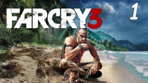 Far Cry 3  1