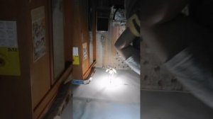 один из моих дней