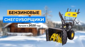 Топ-5. Лучшие бензиновые снегоуборщики 2025 года