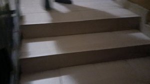 Мы услышали звуки в подъезде!