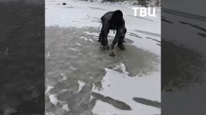 Щуку вытащил зубами 🎣