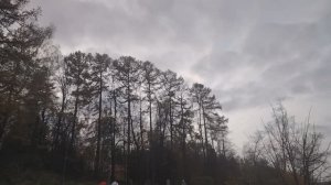 Прощание с озером Сенеж. Осенний парк. Набережная.