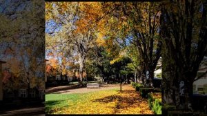 877."Уж небо осенью дышало..