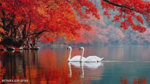 🔴 СРОЧНО ИЩИТЕ НАУШНИКИ! ФАНТАСТИЧЕСКИ КРАСИВЫЕ И ЛУЧШИЕ ТРЕКИ ДЛЯ ДУШИ ▶️ ♫♪♬♪🔥♫♪♬🎤🔊🎧