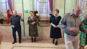 Белые ромашки..... 08.11.25.