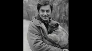 Очень жестокая и очень реалистичная песня